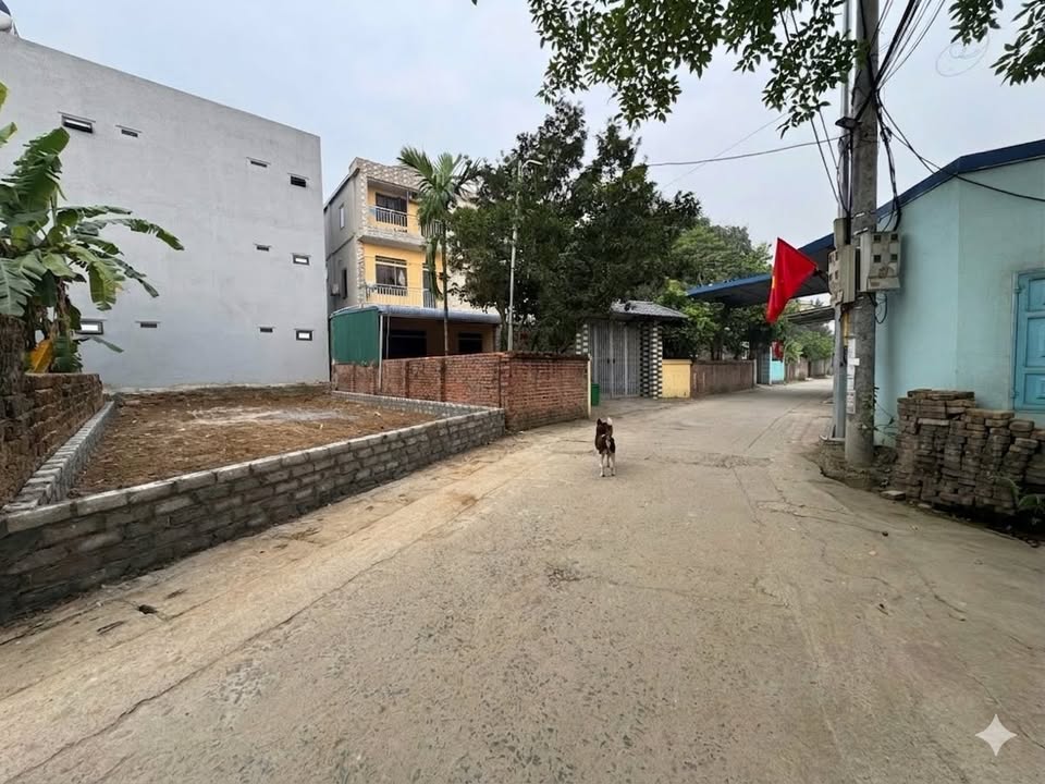 Đất Nền 93.3m² Trục Chính Thôn 2 - Trung Tâm Thủ Phủ Nhà Trọ Hoà Lạc