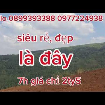 Bán Đất Rẫy Đắk Lắk 5800m² - Sẵn Sàng Đầu Tư Lâu Dài