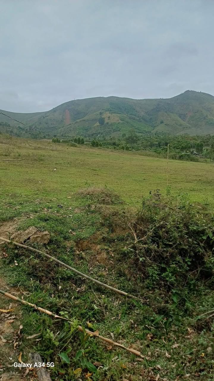 Bán Gấp Đất Rẫy 2.6ha Cư Pui, Đắk Lắk - Sẵn Giếng Khoan, Giá Tốt