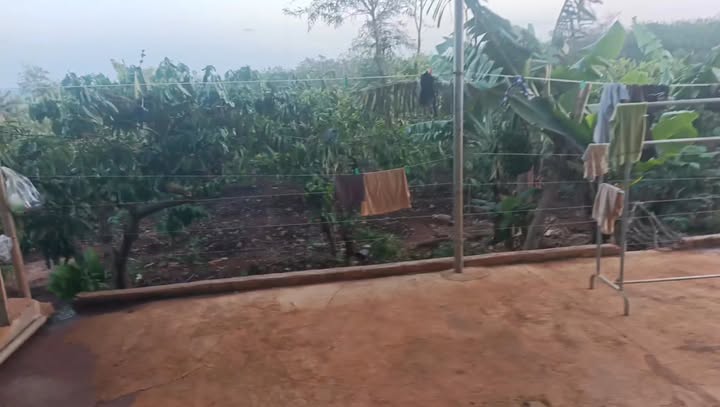 Bán gấp Farm 3240m² tại Chư Sê, Gia Lai - 5 tỷ, Có nhà kiên cố & Vườn cà phê kinh doanh