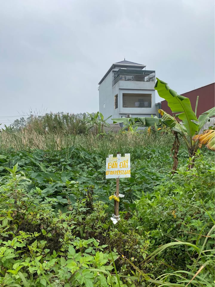 Đất nền 160m² mặt tiền 6m - Đường Phạm Thận Duật, TP Ninh Bình