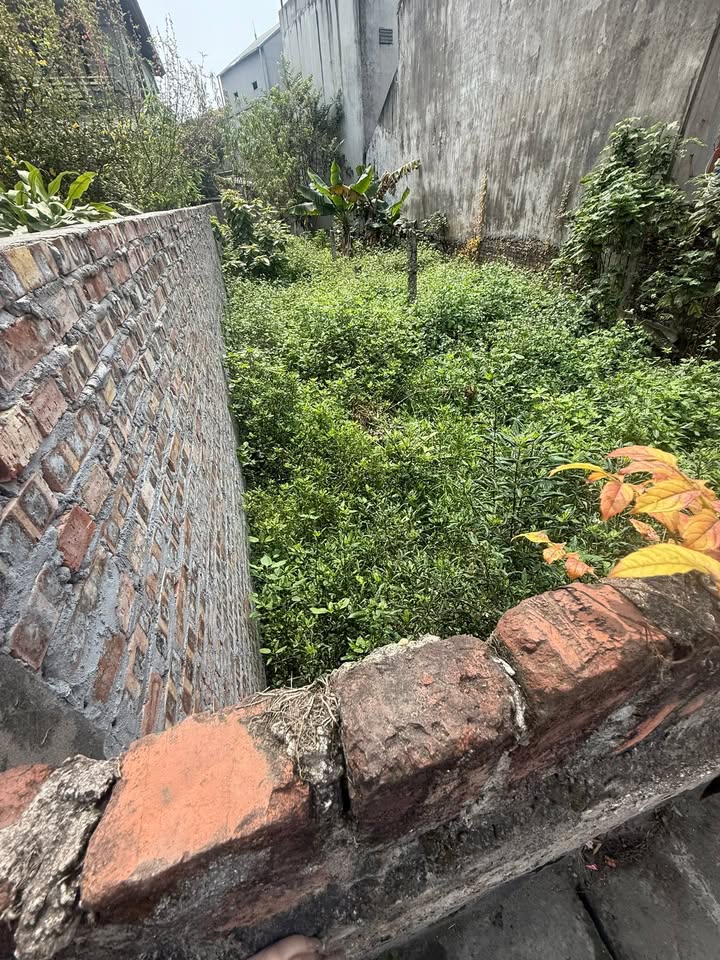 Bán đất Tích Sơn Vĩnh Yên 167m² - Gần Chợ, Trường học, Trục chính Lam Sơn