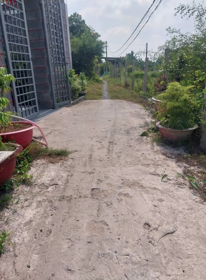 Nhà 1 Trệt 1 Lửng Sân Thượng 110m² Xã Mỹ Lệ, Cần Đước - Giá 1.5 Tỷ