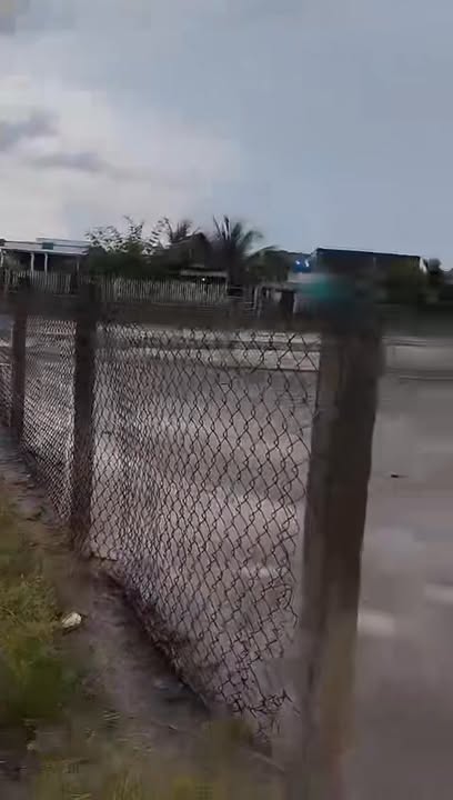 Đất Vườn + Lúa Tân Trạch, Cần Đước 2000m² Giá 2.5 Tỷ - Chính Chủ TL