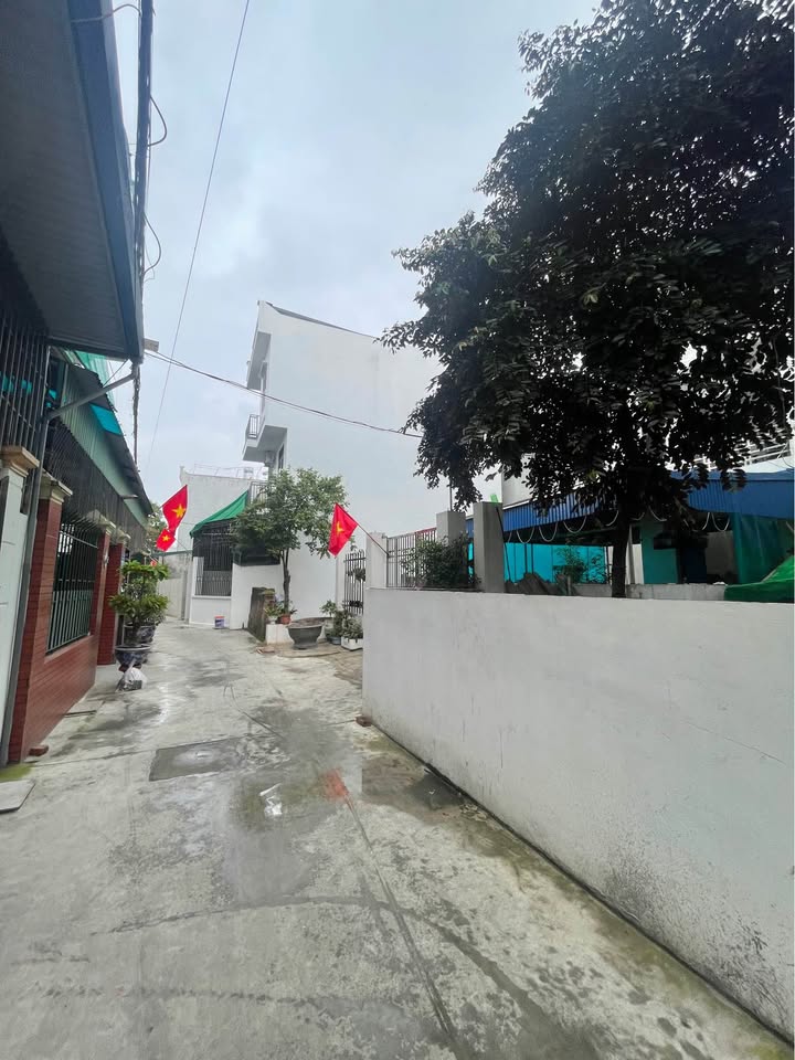 Đất Nền Nam Trực 50m² - Ngõ 437 Văn Cao, Hướng Tây Bắc, Giá 1.55 Tỷ