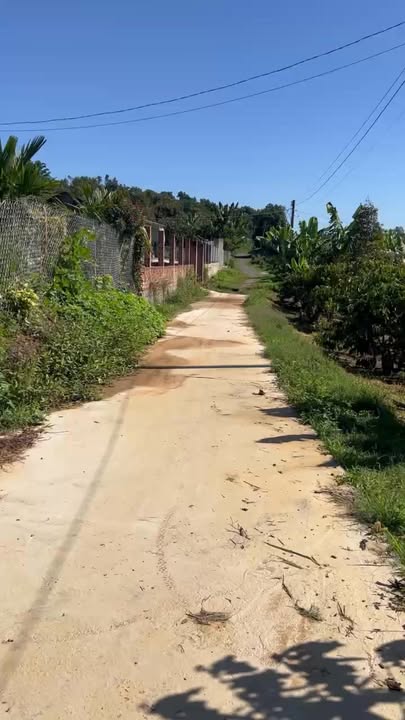 Bán Đất Vườn 5056m² Lộc Nam, Bảo Lâm - Giá 3.2 Tỷ - Sổ Đỏ Rõ Ràng