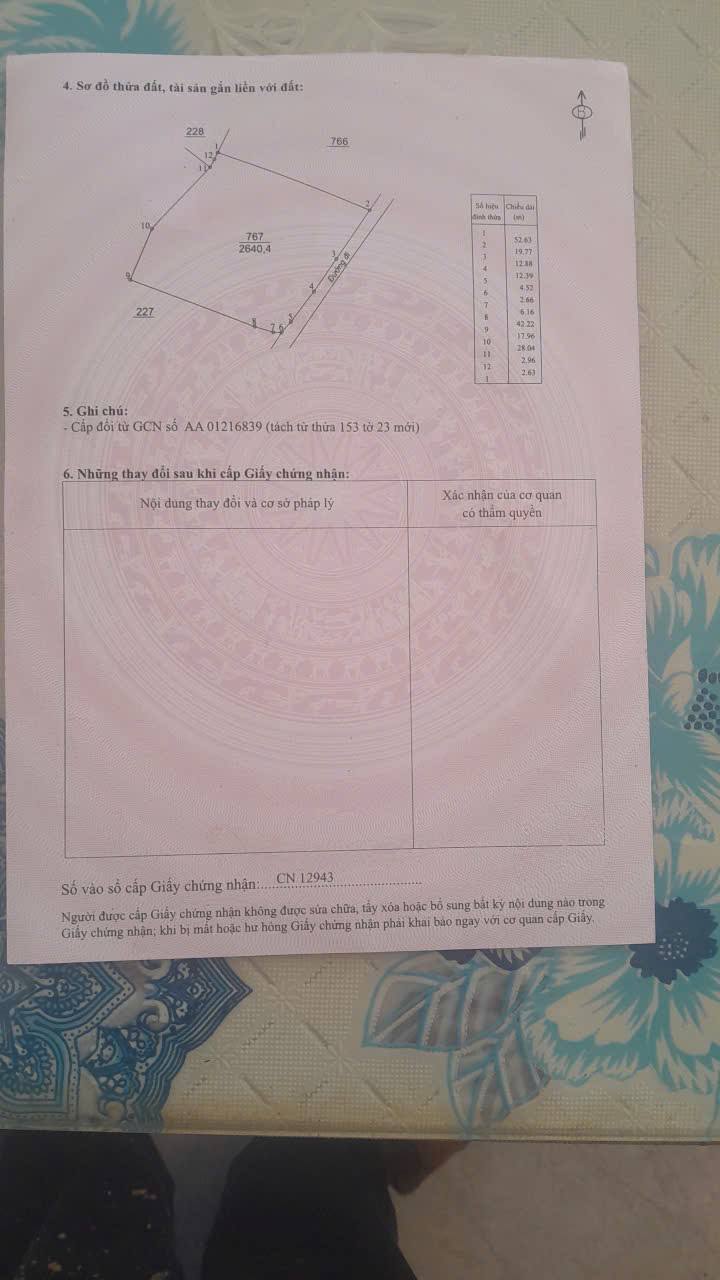Bán Gấp Vườn Cà Phê Riêng 2600m² Tại Bảo Lâm, Lâm Đồng - Giá Đầu Tư 5.05 Tỷ