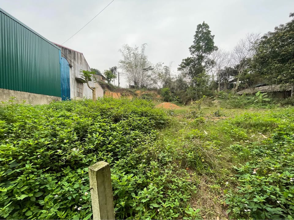 Đất nền 2 mặt tiền 600m² Yên Sơn, Tuyên Quang - Sổ đỏ sẵn, giá 4.2 tỷ