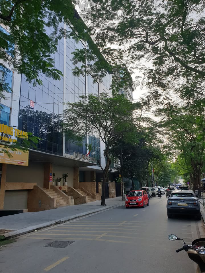 Tòa Building Mặt Phố Trần Thái Tông, Cầu Giấy - 121m² Kinh Doanh 68 Tỷ