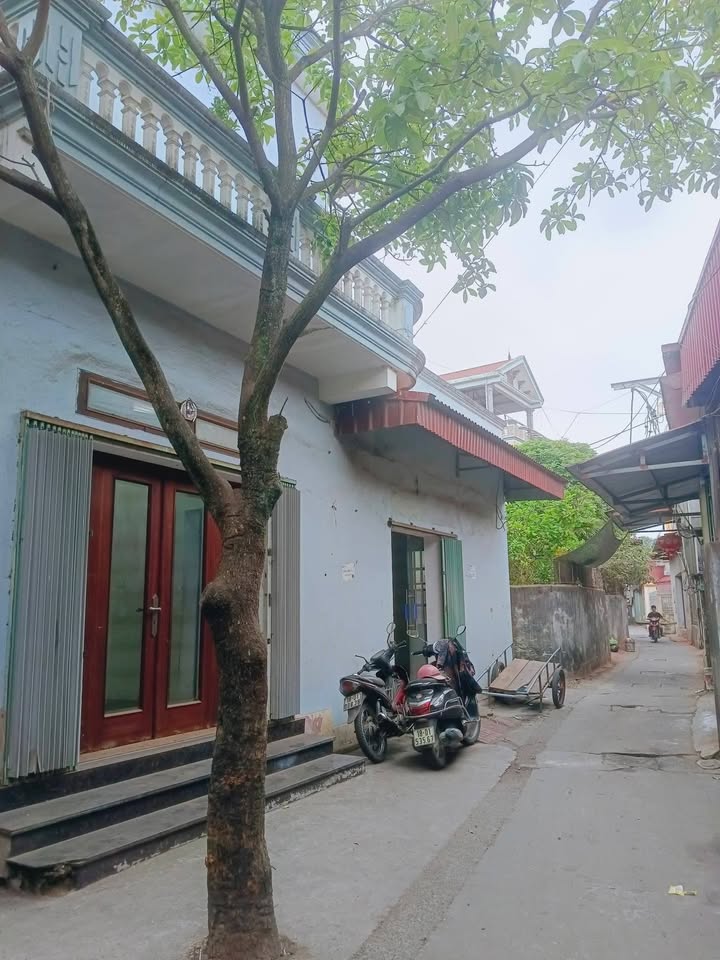 Đất Lô Góc 112m² Thôn La Xuyên, Ý Yên, Nam Định - Sổ Sẵn Sàng Sang Tên