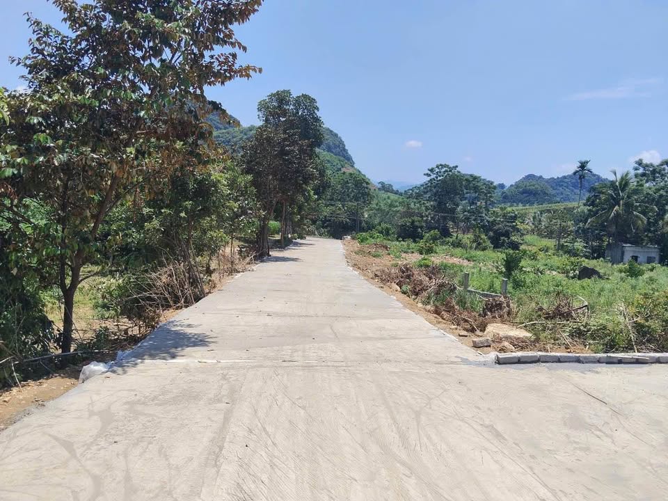 Bán Gấp 2 Lô Đất Thổ Cư 250m² Trung Tâm Thạch Sơn, Thanh Hóa - Giá 300 Triệu