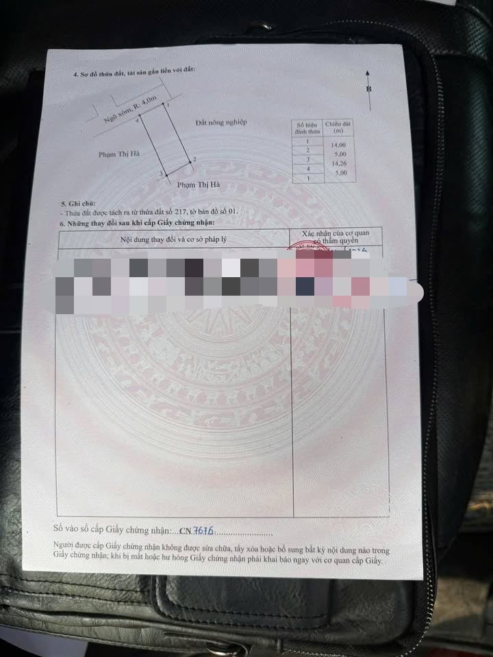 Đất Nền 70m² Thổ Cư + 480m² Liền Kề Tại Ngũ Phúc, Kiến Thụy - Sẵn Sàng Đón Sóng KCN!