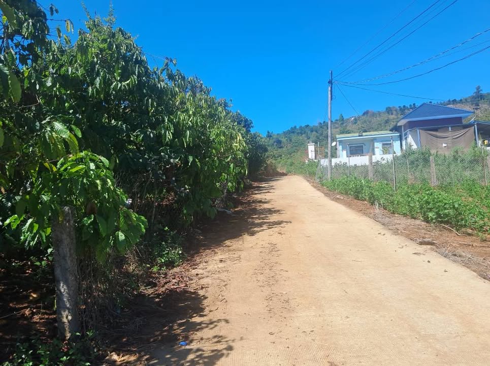 Đất Vườn Lâm Hà 3800m² - Sổ Đỏ Sẵn Sàng - Giá Đầu Tư 2.4 Tỷ