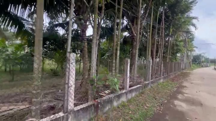 Đất Nền Bình Trung Quảng Ngãi - 252m² Thổ Cư, Nở Hậu, Hướng Nam