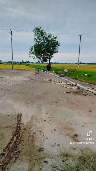 Bán Đất Tỉnh Long An 26.000m² Có Nhà Cấp 4 - Sổ Đỏ Sẵn Sàng