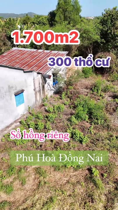 Đất Vườn 1700m² Sổ Hồng Riêng Tại Phú Hòa, Đồng Nai - Giá Đầu Tư Hấp Dẫn