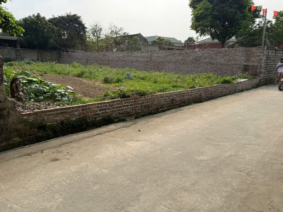 Đất Vàng Ba Vì 267m² - Tặng thêm 90m² - Sổ đỏ chính chủ