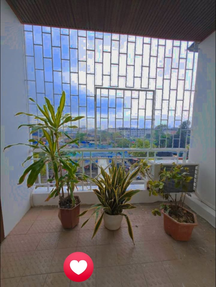 Nhà Xã Đàn 24m² 5 tầng, 6.1 Tỷ - Sổ đỏ riêng, ô tô vào nhà