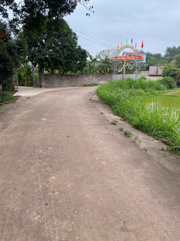 Đất Rừng 3000m² Tân Thanh, Lạng Giang - Đầu tư sinh lời, làm xưởng lý tưởng