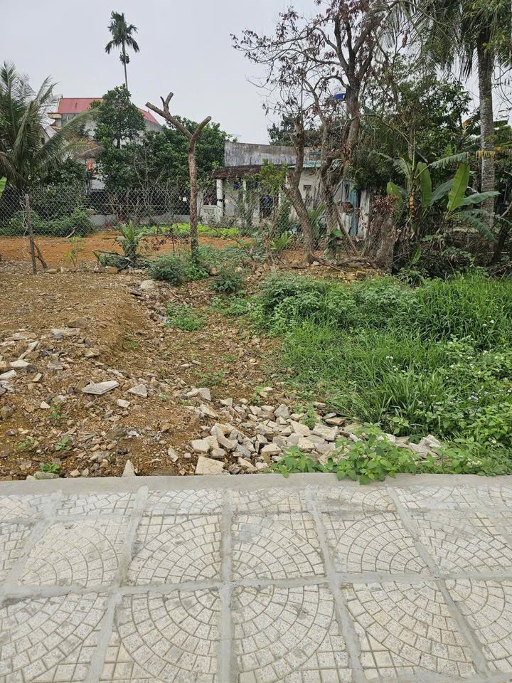 Đất nền Thiệu Vũ Thiệu Hóa 75-90m² 1 tỷ - Sổ đỏ chính chủ
