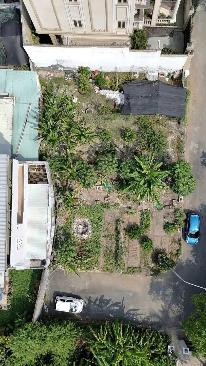 Bán Đất Góc 2 Mặt Tiền Trần Não, TP. Thủ Đức - 450m² Giá 125 Tỷ