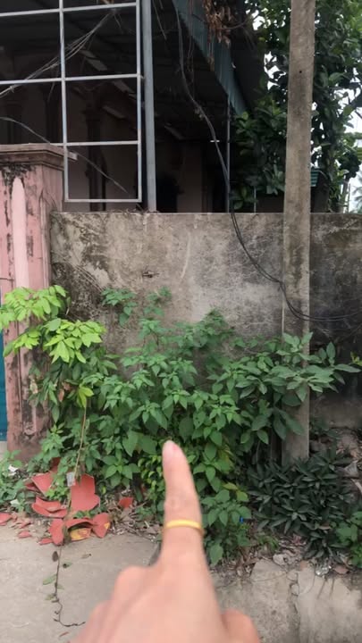 Đất nền Quốc lộ 48E Quỳnh Bảng 148m² - Sổ đỏ chính chủ