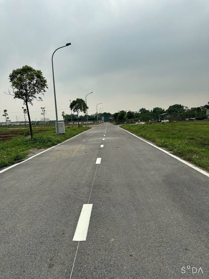 Bán đất đấu giá Hương Đình (Đông Anh) 104.5m² - Sổ đỏ, đường 2 ô tô tránh