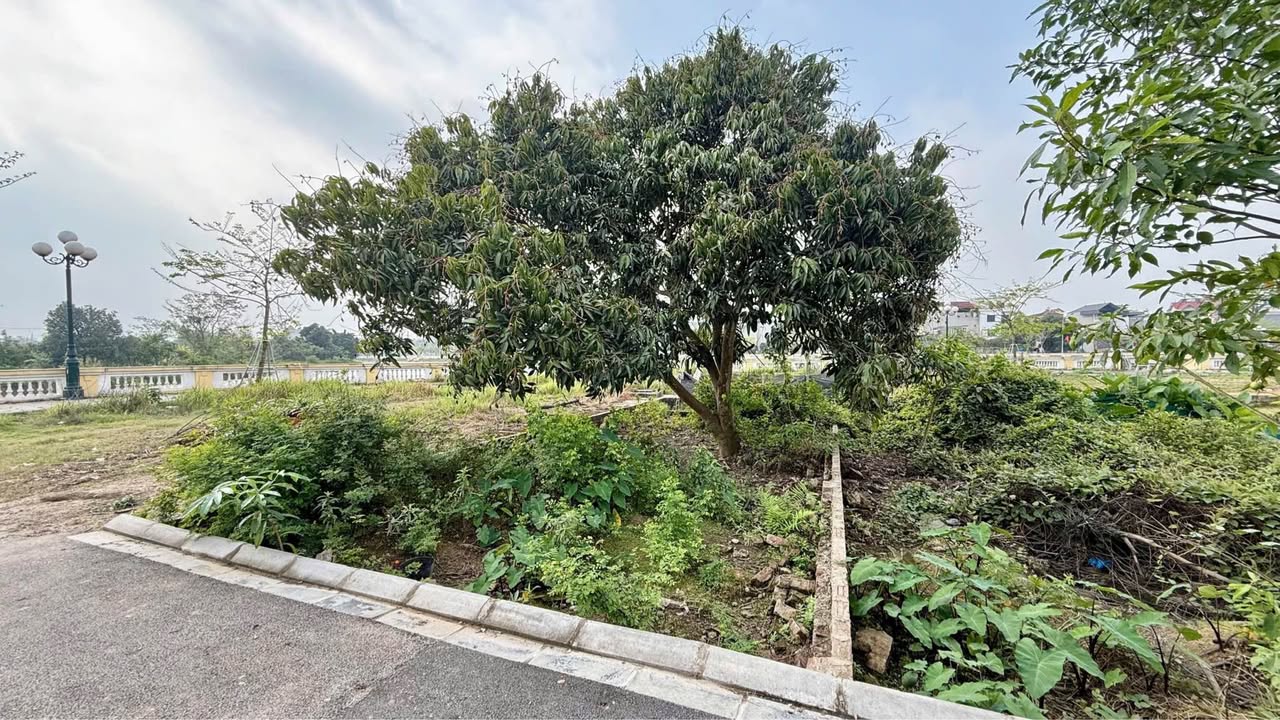 Đất nền Uy Nỗ Đông Anh 71m² giá thỏa thuận - Sổ đỏ chính chủ