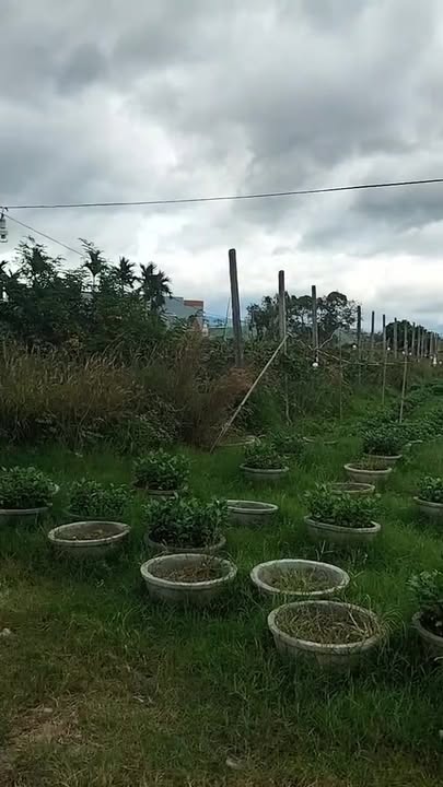 Đất nền 504m² Trần Nhân Tông, Đắk Hà - Giá từ 1 tỷ, Sổ đỏ thổ cư