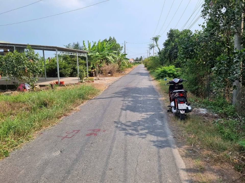 Đất Nền Mặt Tiền 30/4, Châu Thành LA - 155m² Hướng Tây Giá 699 Triệu