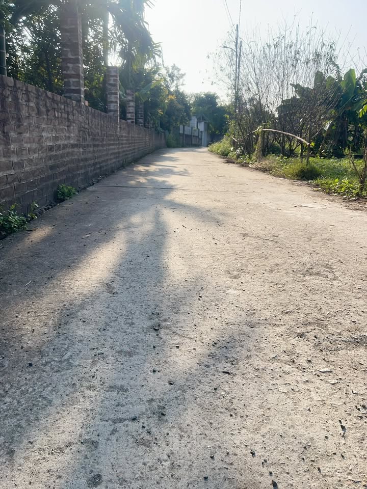 Bán đất Phú Cát, Quốc Oai 60m² - Sổ đỏ sẵn sàng, ô tô vào nhà!