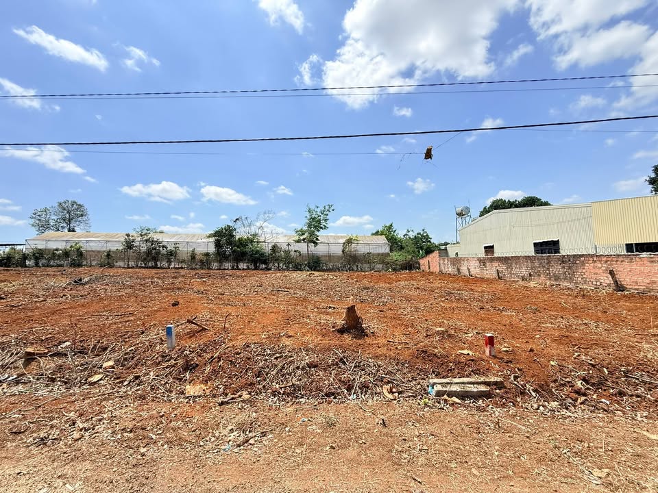 Đất nền Quy Nhơn Nguyễn Tuân 160m² giá 0.8 tỷ - Sổ đỏ chính chủ