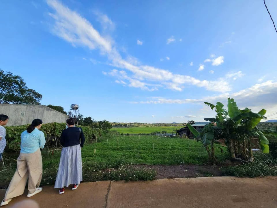 Đất Vàng Pleiku - 560m² Hẻm Bùi Viện, View Ruộng Thoáng Đãng