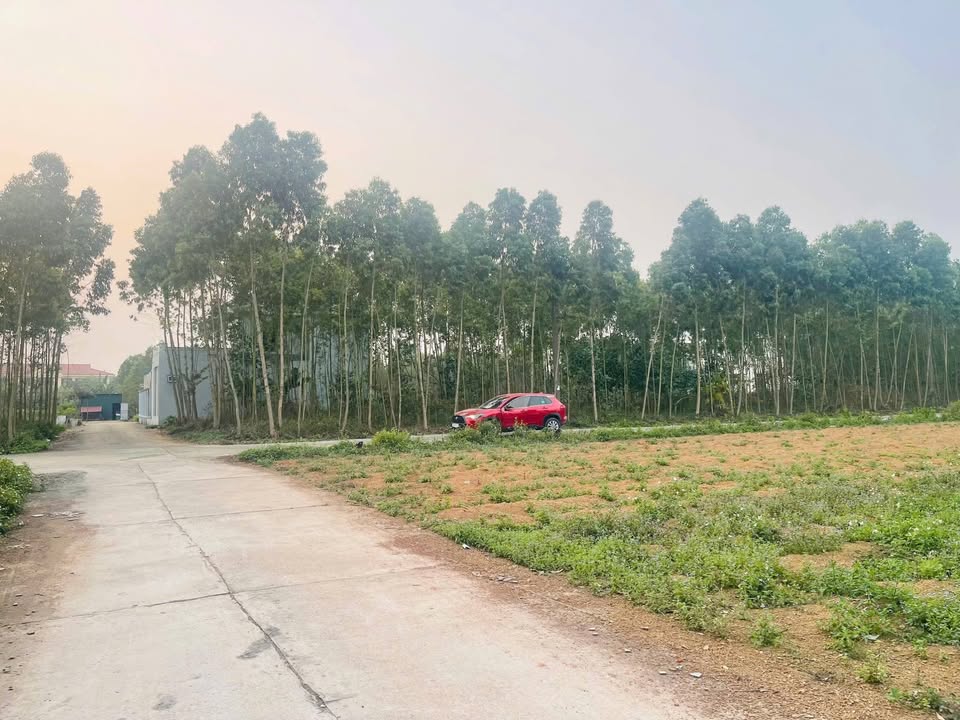 Bán Đất Tái Định Cư Chu Hóa 300m² - Sổ Đỏ Full Thổ Cư, Vuông Vắn