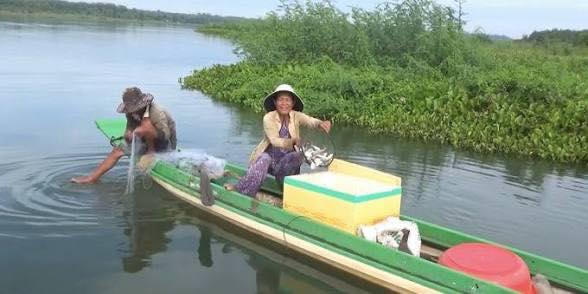 Bán đất 10.000m² view Hồ Phước Hòa, Chơn Thành, Bình Phước