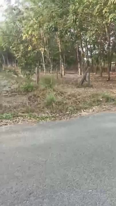 Đất nền Mặt tiền Khải Hoàn, Chơn Thành 500m² - Giá 1.6 tỷ