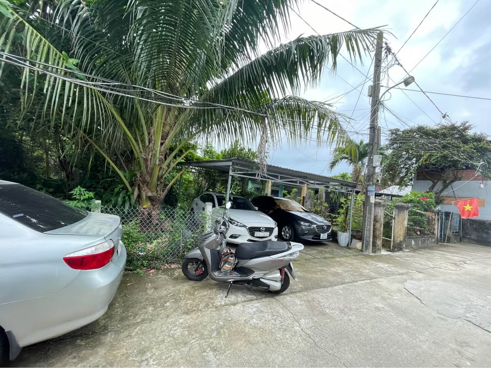 Đất Vườn Tam Kỳ 500m² - Sẵn Sổ Hồng, Tiềm Năng Đầu Tư Vượt Trội