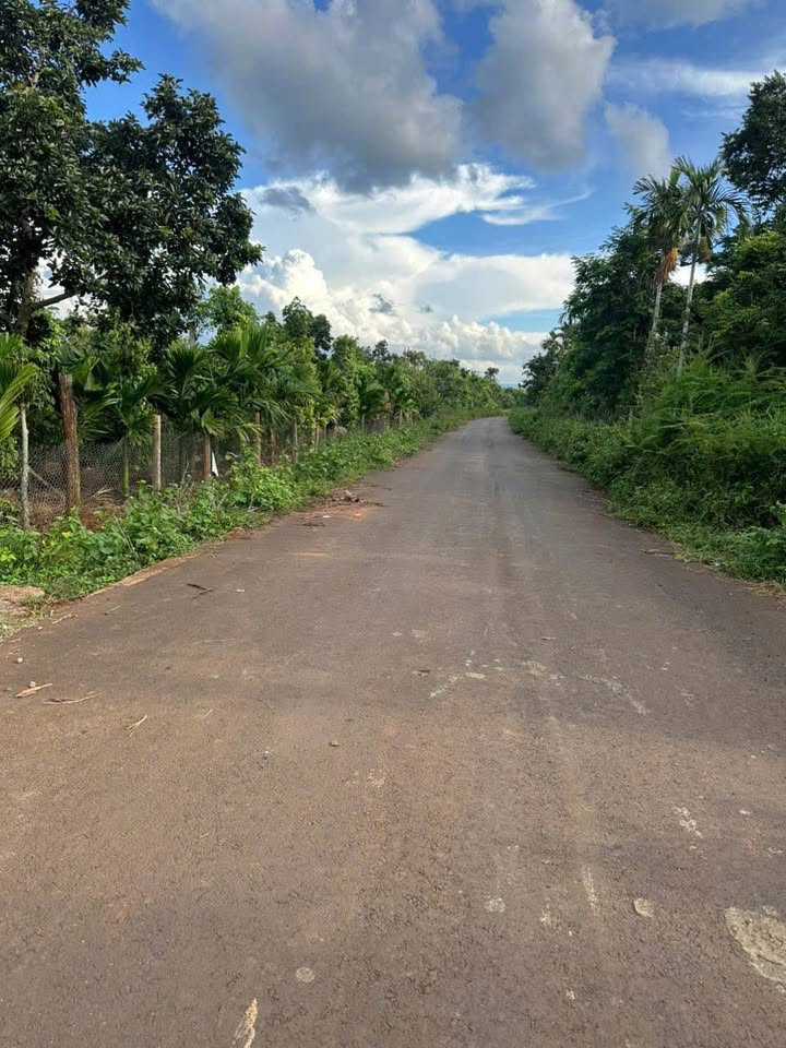 Đất vườn Tân Lập 8000m² 6.4 tỷ - Sinh thái xanh