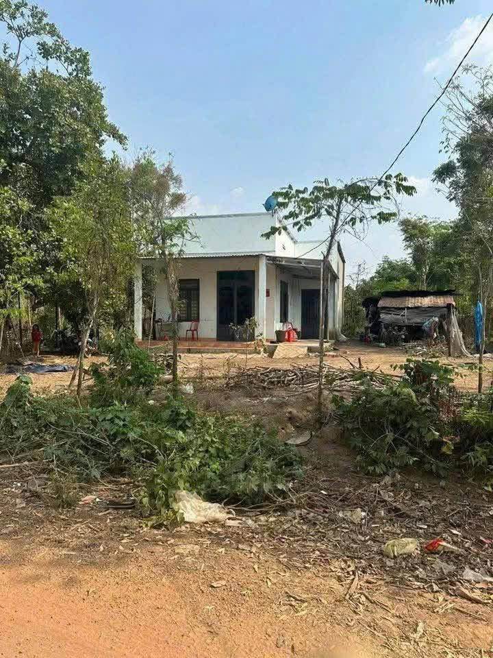 Bán Đất Vườn 2300m² Sổ Hồng Riêng - Gần QL13, TP.HCM