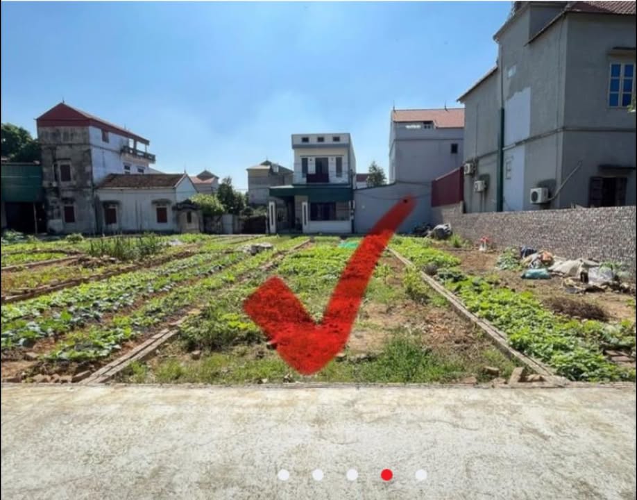 Bán Gấp Đất Nền 59m² Phường Ninh Xá, Thuận Thành, Bắc Ninh - Giá 1 Tỷ