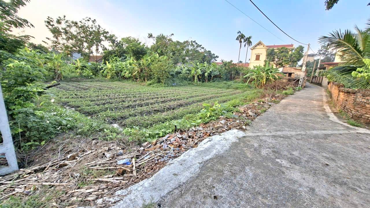 Đất Nền TDP An Phú, Quế Võ, Bắc Ninh - 76m² Giá Đầu Tư Chỉ 6xx Triệu