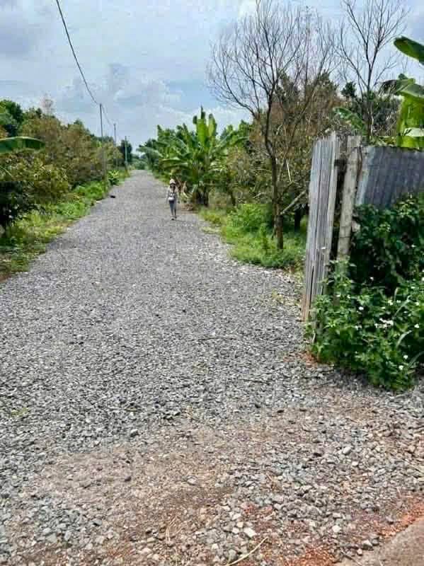 Bán Đất Vườn Sầu Riêng 900m² Sông Thao, Trảng Bom - Giá Tốt