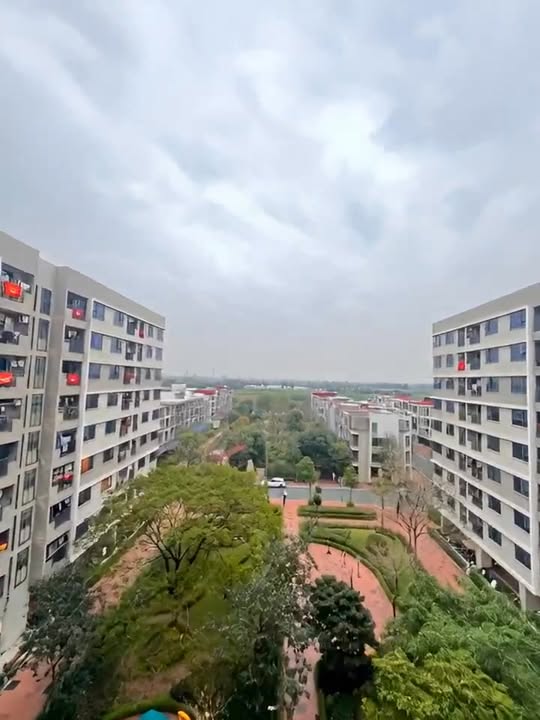 Cho thuê căn hộ 2PN full đồ Viglacera, Yên Phong, Bắc Ninh - Giá tốt