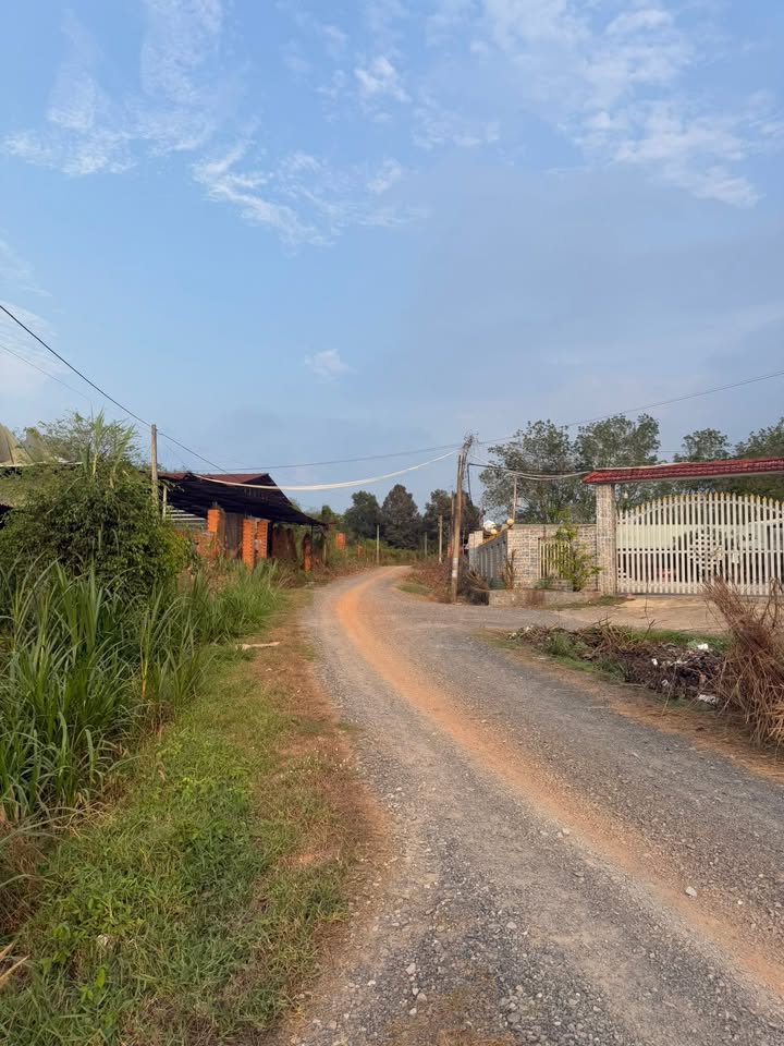 Bán 3 Lô Đất Vàng 1.2 Tỷ/Lô - Trảng Bàng, Tây Ninh - 500m² Thổ Cư Sẵn Sàng