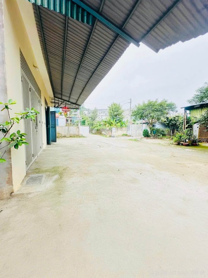 Bán Đất Phố 7 Hàm Rồng 85m² - Sổ Đỏ Sẵn Sàng, Đường Rộng Ô Tô