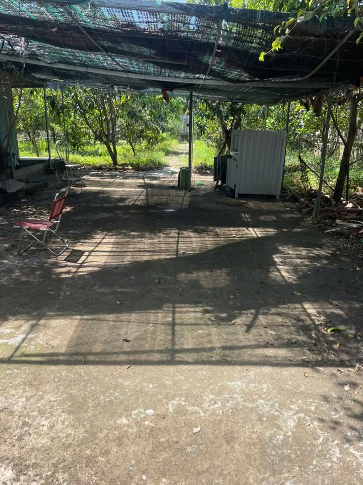 Bán Nhà Vườn Củ Chi 500m² SHR - Giá 2.35 Tỷ Cực Hời