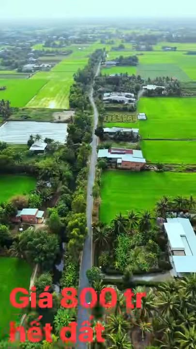 Đất Lúa 1050m² Đường Bờ Kênh, Đức Hòa - Giá 800 Triệu Chính Chủ