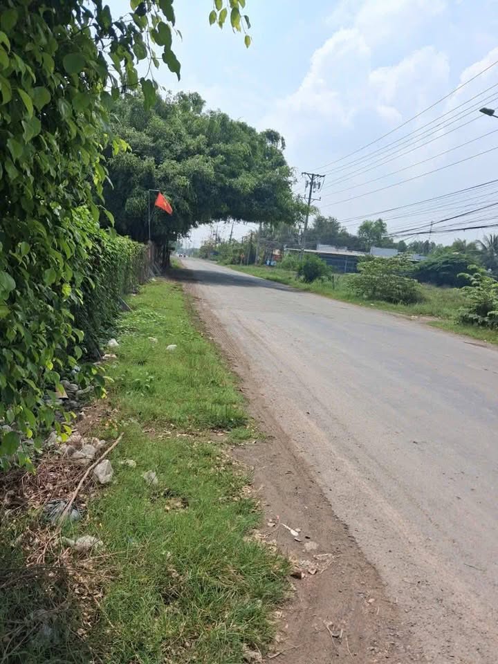 Đất Thổ Cư 119.7m² Sổ Hồng Riêng, Đức Hòa - Giá Đầu Tư 750 Triệu