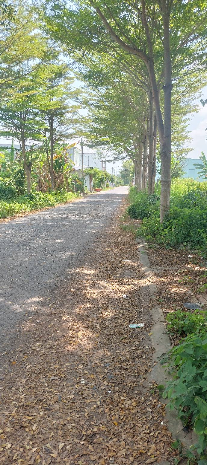 Đất thổ cư 229m² Phường Tân Hạnh, Vĩnh Long - Giá tốt, sổ hồng riêng