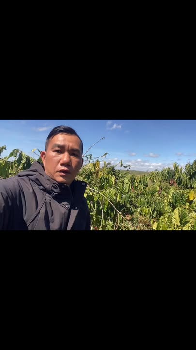 Đất Vườn Đăk Nông 13.000m² - Mặt Tiền Đường Dt, Giá Mềm